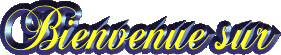 Bienvenue