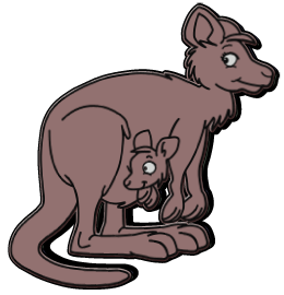 Kangourous