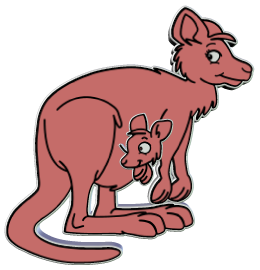 Kangourous
