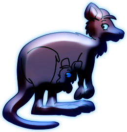 Kangourous