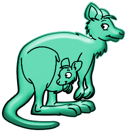 Kangourous