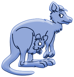 Kangourous