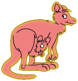 Kangourous