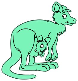 Kangourous
