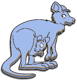 Kangourous