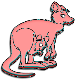 Kangourous