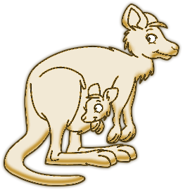 Kangourous