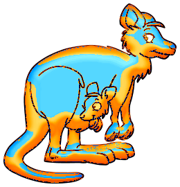 Kangourous