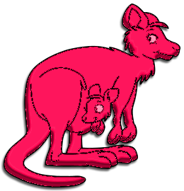 Kangourous