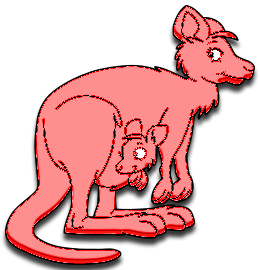 Kangourous