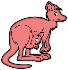 Kangourous