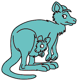 Kangourous