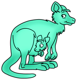 Kangourous
