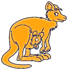 Kangourous