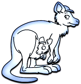 Kangourous