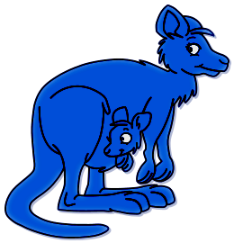 Kangourous