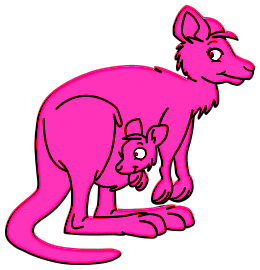 Kangourous