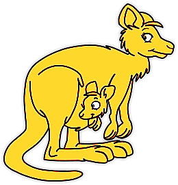 Kangourous
