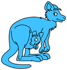 Kangourous