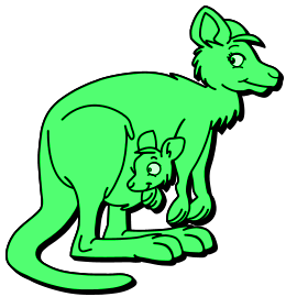Kangourous