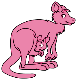 Kangourous