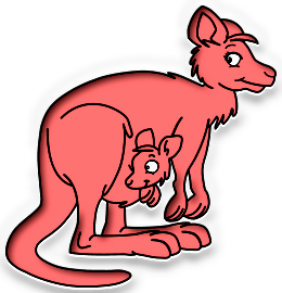 Kangourous