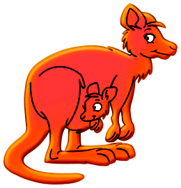 Kangourous