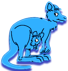 Kangourous