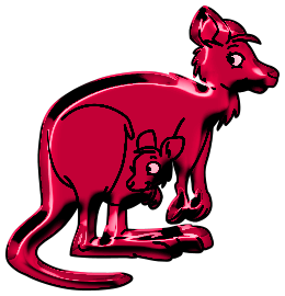 Kangourous