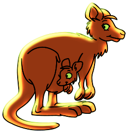Kangourous