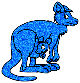 Kangourous