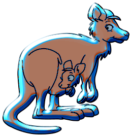 Kangourous