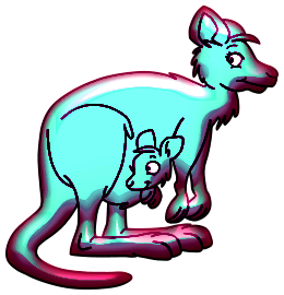 Kangourous