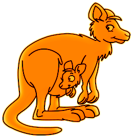 Kangourous