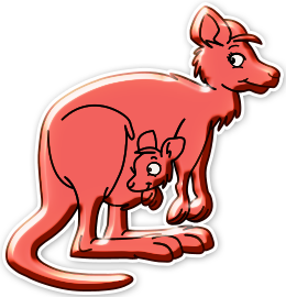 Kangourous