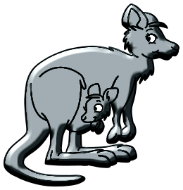 Kangourous