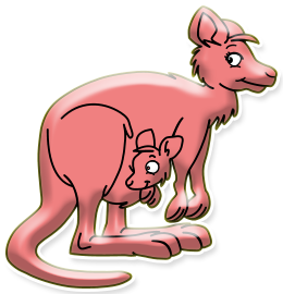 Kangourous